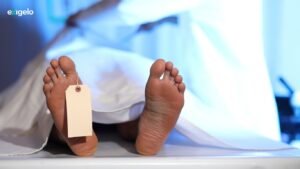 como-denunciar-negligencia-medica